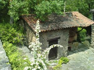 a stone house with a window and flowers at Les Cèdres Bleus de Joany in Viviez