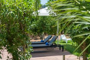 A garden outside Hotel Turixant