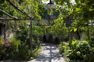 a pathway in a garden with trees and flowers at Hotel Pupetto in Positano