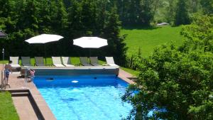 uma piscina com cadeiras e guarda-sóis em Apparthotel Maier em Soprabolzano