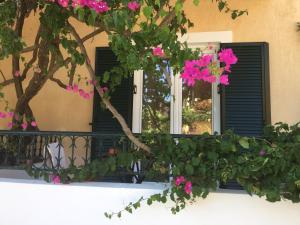 Vonkajšia záhrada v ubytovaní Casa Buganvilla