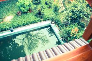 Vrt ispred objekta Sam Ong Lang Homestay
