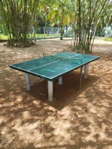 a ping pong table in the middle of a park at African Queen Lodge in Assinie