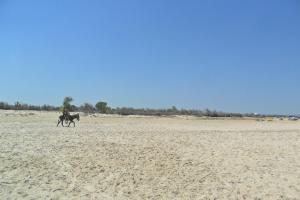 a person riding a horse on the beach at Ben's House in El Maamoura