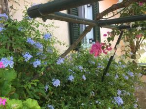 Vonkajšia záhrada v ubytovaní Casa Buganvilla