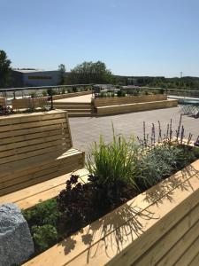 Zahrada ubytování ArenaHotellet i Uppsala