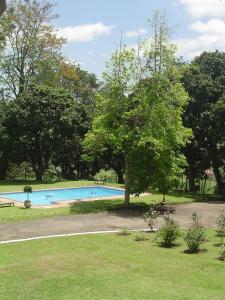 una piscina en un parque con un árbol en Kearsney Manor en Stanger