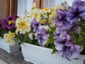 Gallery image of Орбелус in Govedartsi