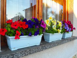 Gallery image of Орбелус in Govedartsi