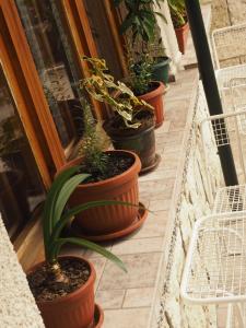 Gallery image of Орбелус in Govedartsi