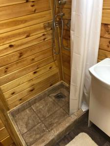 ブダペストにあるHaller Wooden Housesの木製バスルーム(シャワー、トイレ付)