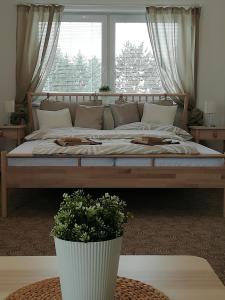 Postel nebo postele na pokoji v ubytování Apartmány U Stříbrných