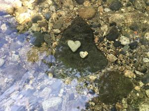 Photo de la galerie de l'établissement gite du devez des bruyéres, à Prades