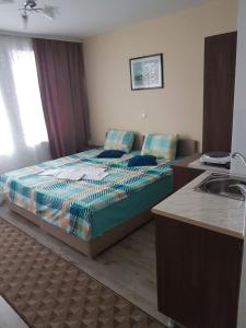 a bedroom with a bed and a sink in it at Guest House Ginek in Ohrid