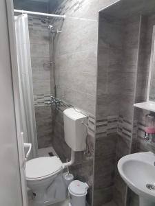 a bathroom with a toilet and a sink at Guest House Ginek in Ohrid