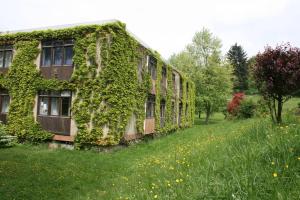 Parkblick Appartement - Entspannung pur! في Ober-Hambach: مبنى مغطى ivy في ميدان من العشب