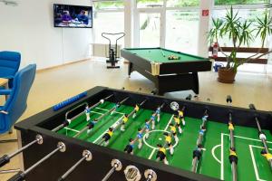a billiards table in a room with a pool table at Talblick Appartement in traumhafter Lage! in Ober-Hambach