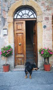 un perro parado frente a una puerta en Toscanamente en Volterra