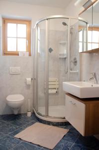a bathroom with a shower and a toilet and a sink at Schupferhof in Petersberg