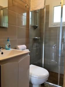 a bathroom with a shower and a toilet and a sink at Casinha da Vila in Arcos de Valdevez