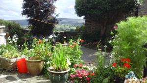 A garden outside Clyde House 