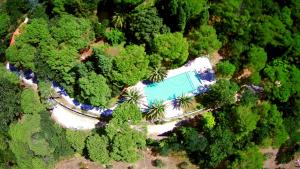 una vista aérea de una piscina en un bosque en Agriturismo Poggio al Pino, en Montelupo Fiorentino