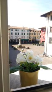 L'angolo di Filippo I في تشفيدالي ديل فريولي: وعاء من الزهور البيضاء تقف على حافة النافذة