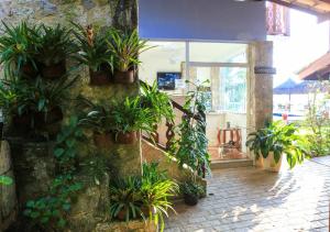 Zahrada ubytování Pousada Recanto de Paraty