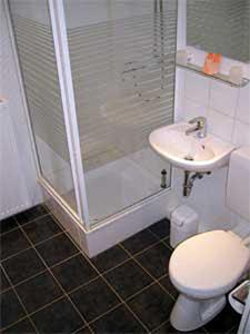 フレールスハイムにあるHotel Waldesruhのバスルーム(シャワー、トイレ、シンク付)