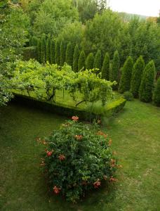 a garden with a bunch of bushes and trees at Guest House Dimitrije in Niška Banja