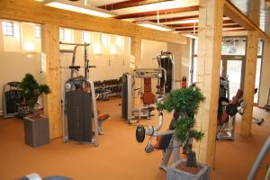 - une salle de sport avec plusieurs tapis de course et vélos d'exercice dans l'établissement Schloss und Gut Liebenberg, à Liebenberg
