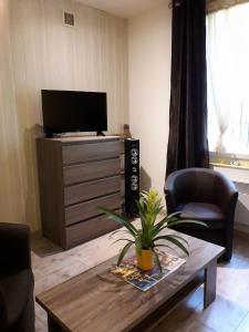 Una sala de estar con televisión y una mesa de café. en Les farios, en Sarlat-la-Canéda