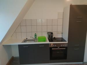紐倫堡的住宿－Centr Apartments Nürnberg，一间带水槽和炉灶的小厨房