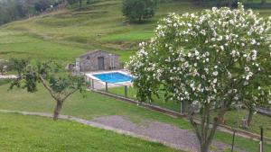 a tree with white flowers next to a swimming pool at Mas Can Cels in Sant Pau de Segúries