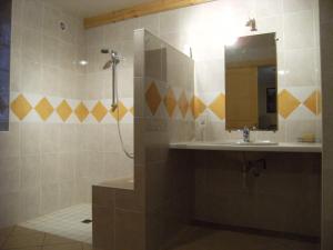 een badkamer met een douche, een wastafel en een spiegel bij Chambres d'Hôtes Larnaudie in Saint-Amand-de-Coly