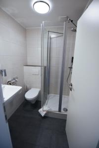 a bathroom with a shower and a toilet and a sink at Hotel Restaurant Haus Zwicker in Bleialf