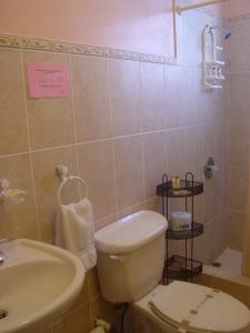 La salle de bains est pourvue de toilettes et d'un lavabo. dans l'établissement Dos Angeles del Mar Bed and Breakfast, à Rincon