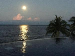 Une lune pleine sur l'océan avec un palmier dans l'établissement Toyabali Resort, Dive & Relax, à Tulamben