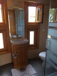 uma casa de banho com um lavatório e um WC em TINY HOUSE & SPA em Faycelles