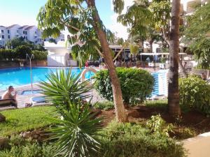 widok na basen w ośrodku w obiekcie Popular Complex w mieście Los Cristianos