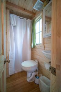 La petite salle de bains est pourvue de toilettes et d'un lavabo. dans l'établissement Mount Hood Village Savannah Tiny House 4, à Welches