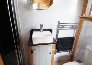 a bathroom with a sink and a mirror at Flying Scotsman in Cray