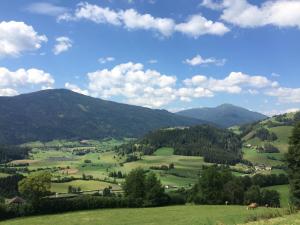 Naturlandschaft in der Nähe der Ferienwohnung