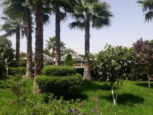 Almounia Hotel & Spa外面的花园