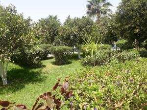 Almounia Hotel & Spa外面的花园