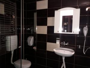 a bathroom with a toilet and a sink at Apartments & Accommodation Stojic in Novi Sad