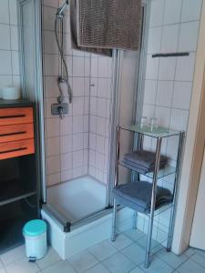a shower with a glass door and two chairs in a bathroom at Ferienpark Sonnenhof in Tambach-Dietharz