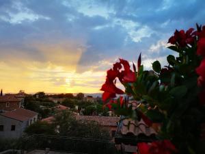 Východ nebo západ slunce při pohledu z bed and breakfast nebo okolí