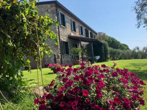 Vonkajšia záhrada v ubytovaní Holiday House Petrarca