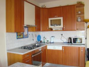 Kuchyňa alebo kuchynka v ubytovaní Apartments Žgogo